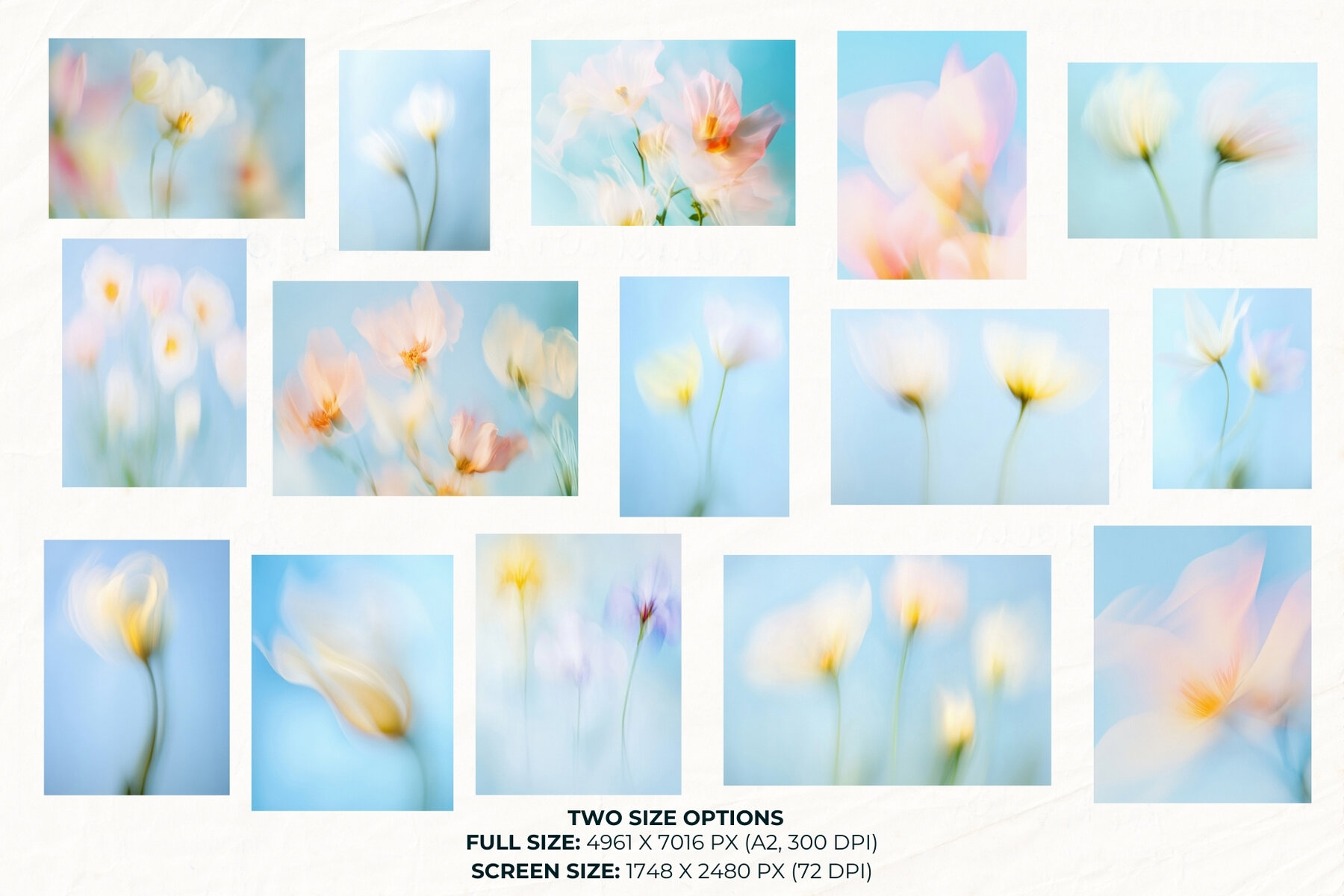 30 Soft Blurred Florals Backgrounds 11