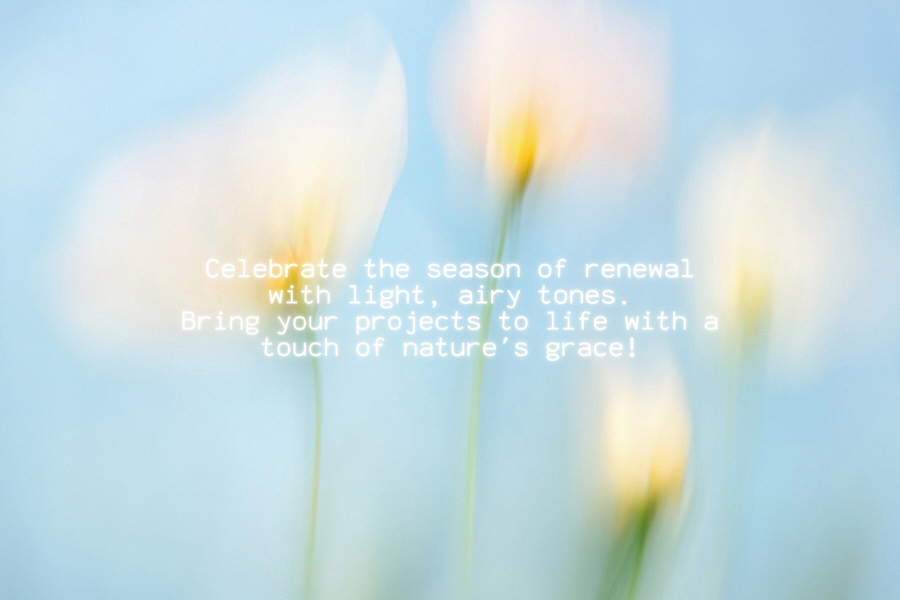 30 Soft Blurred Florals Backgrounds 13
