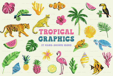 Tropical Illustrations
