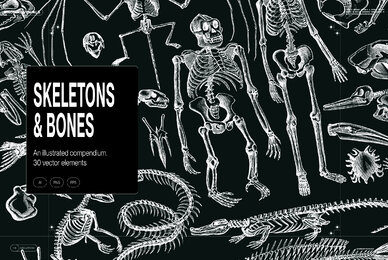 Skeletons Bones