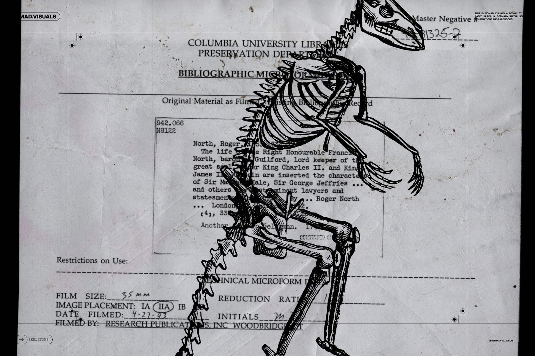 Skeletons   Bones 11