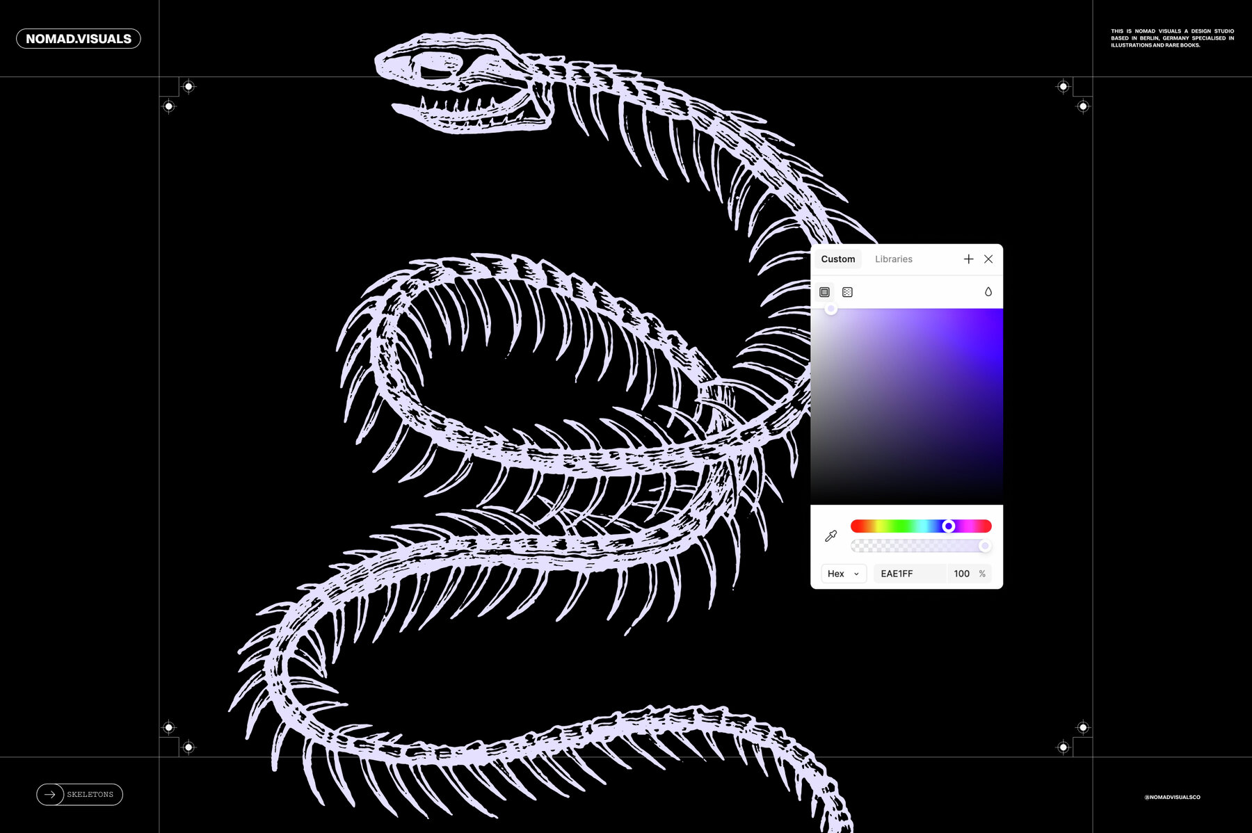 Skeletons   Bones 12