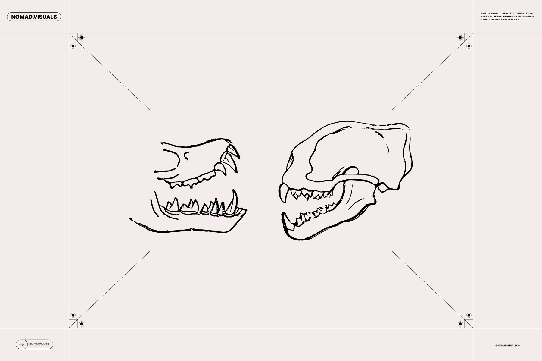 Skeletons   Bones 13