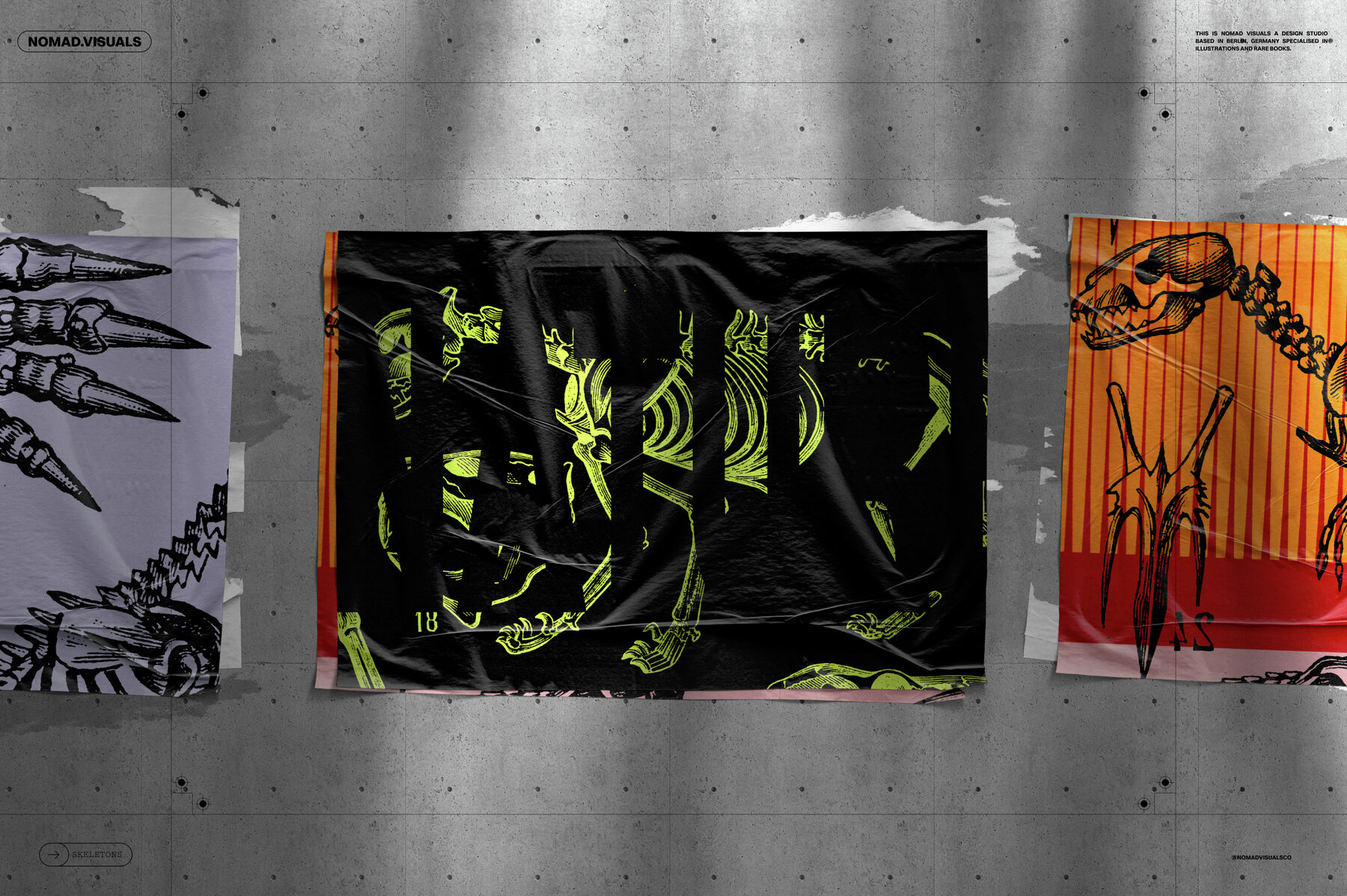 Skeletons   Bones 15