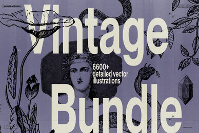 Vintage Bundle   6600  Illustrations