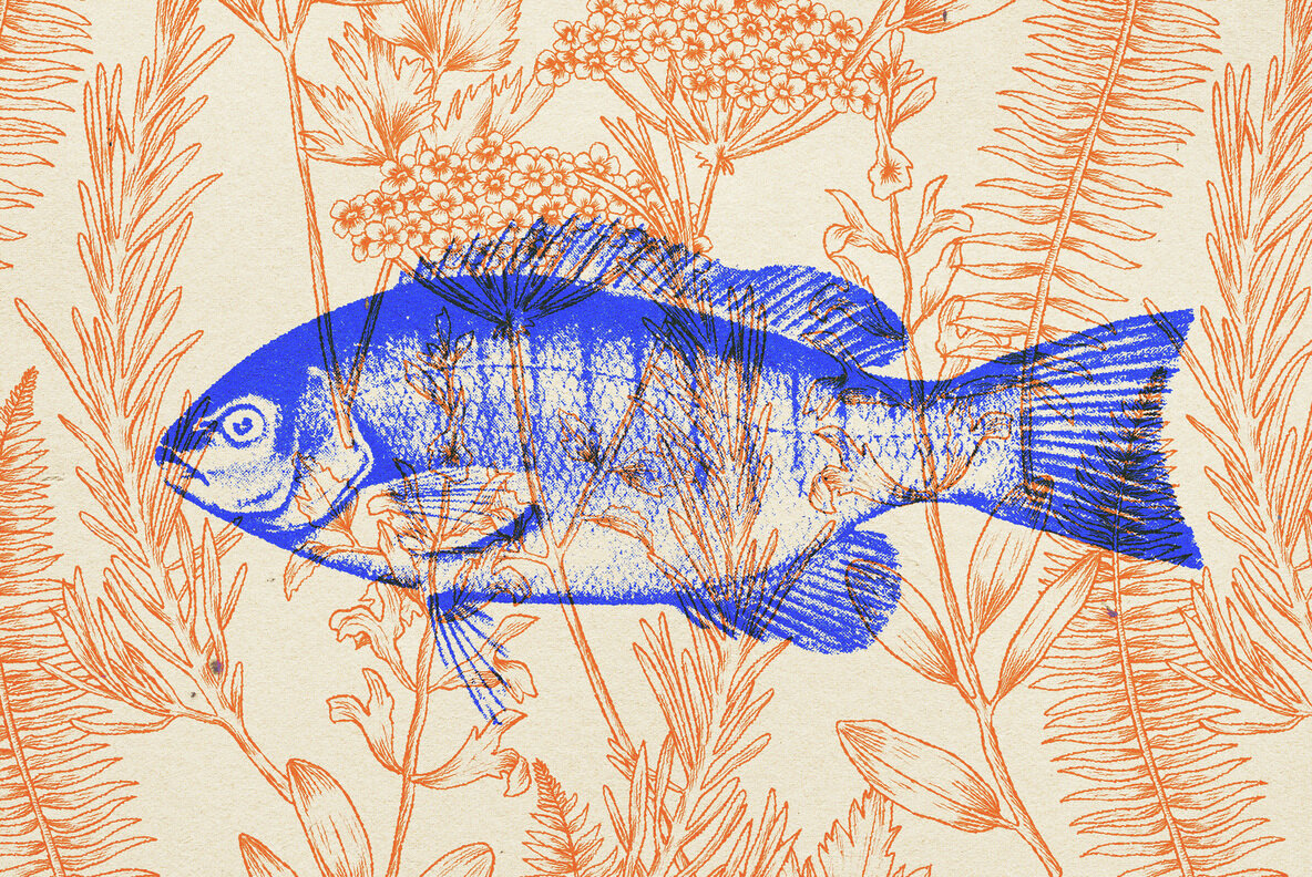 Overprint Risograph Effect 4