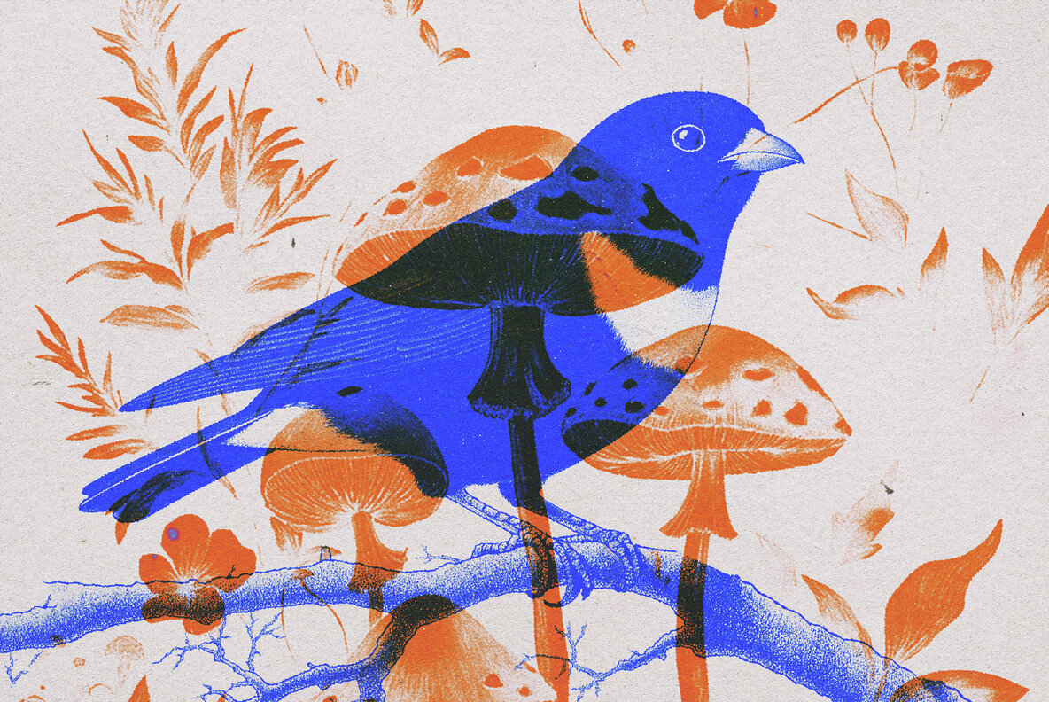 Overprint Risograph Effect 5