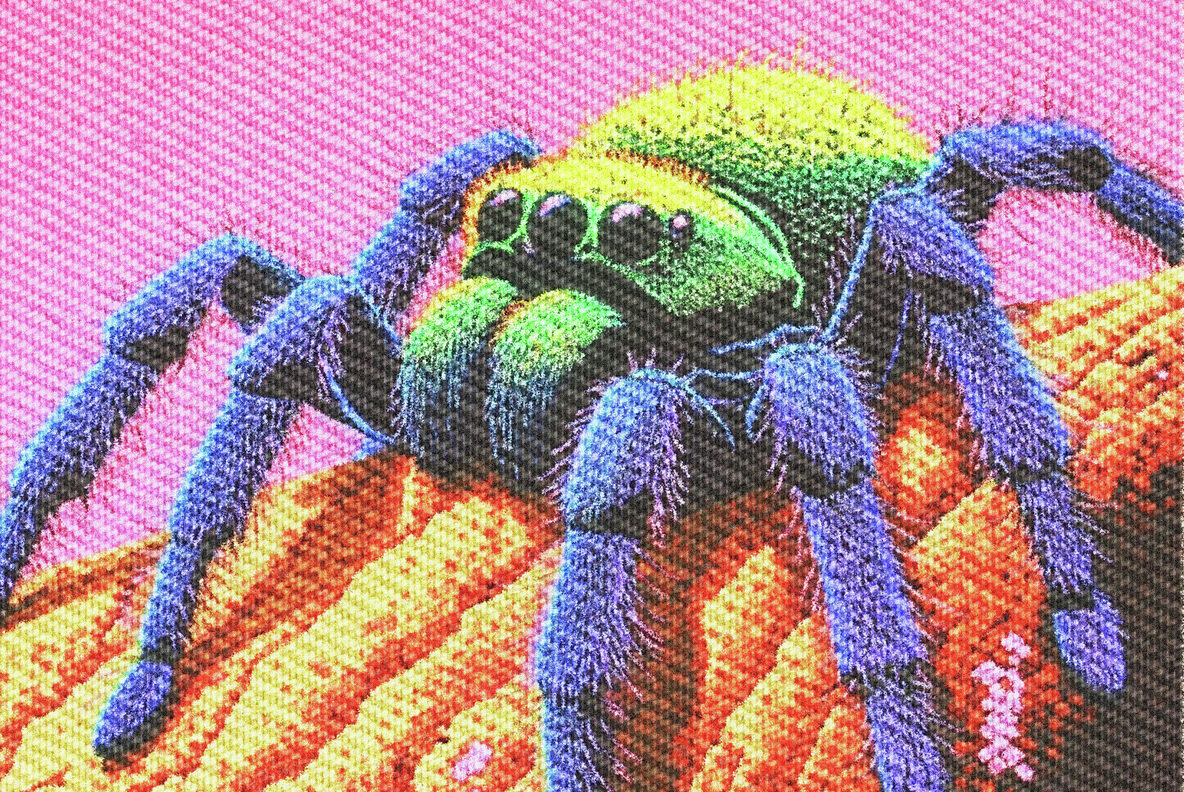 Embroidery Stitch Texture Effect 3