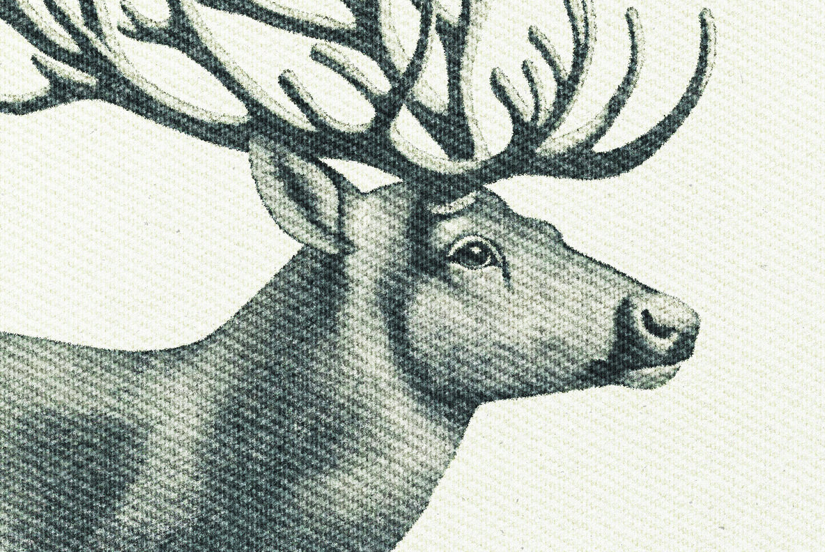 Embroidery Stitch Texture Effect 5