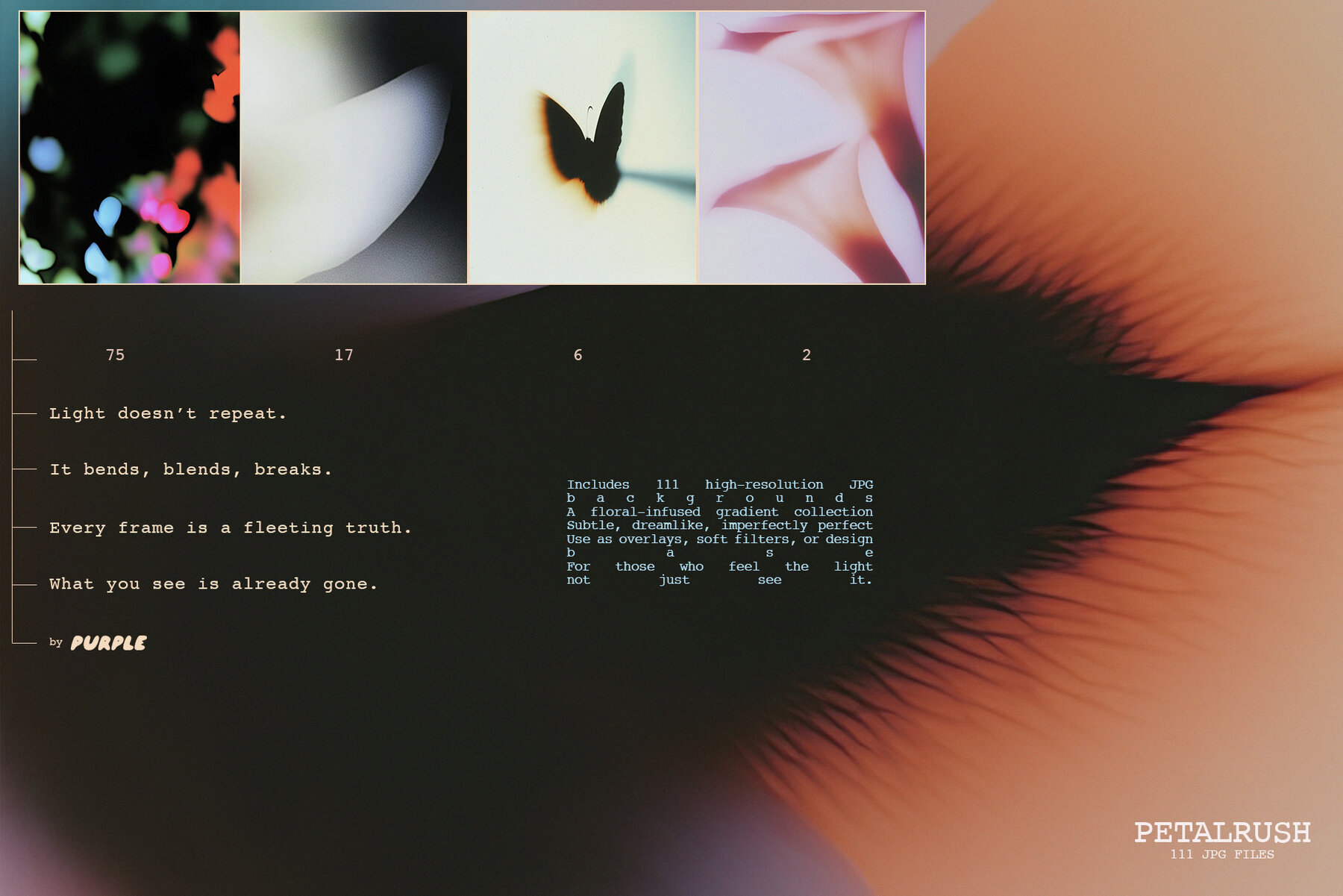 Petalrush Floral Backgrounds 3