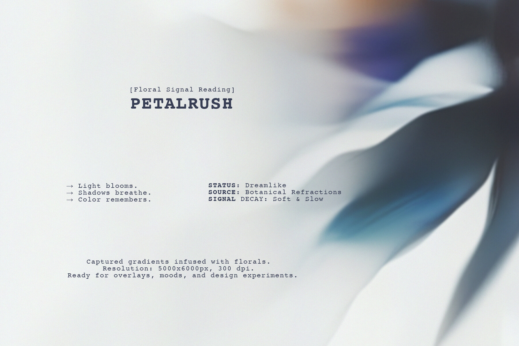 Petalrush Floral Backgrounds 5