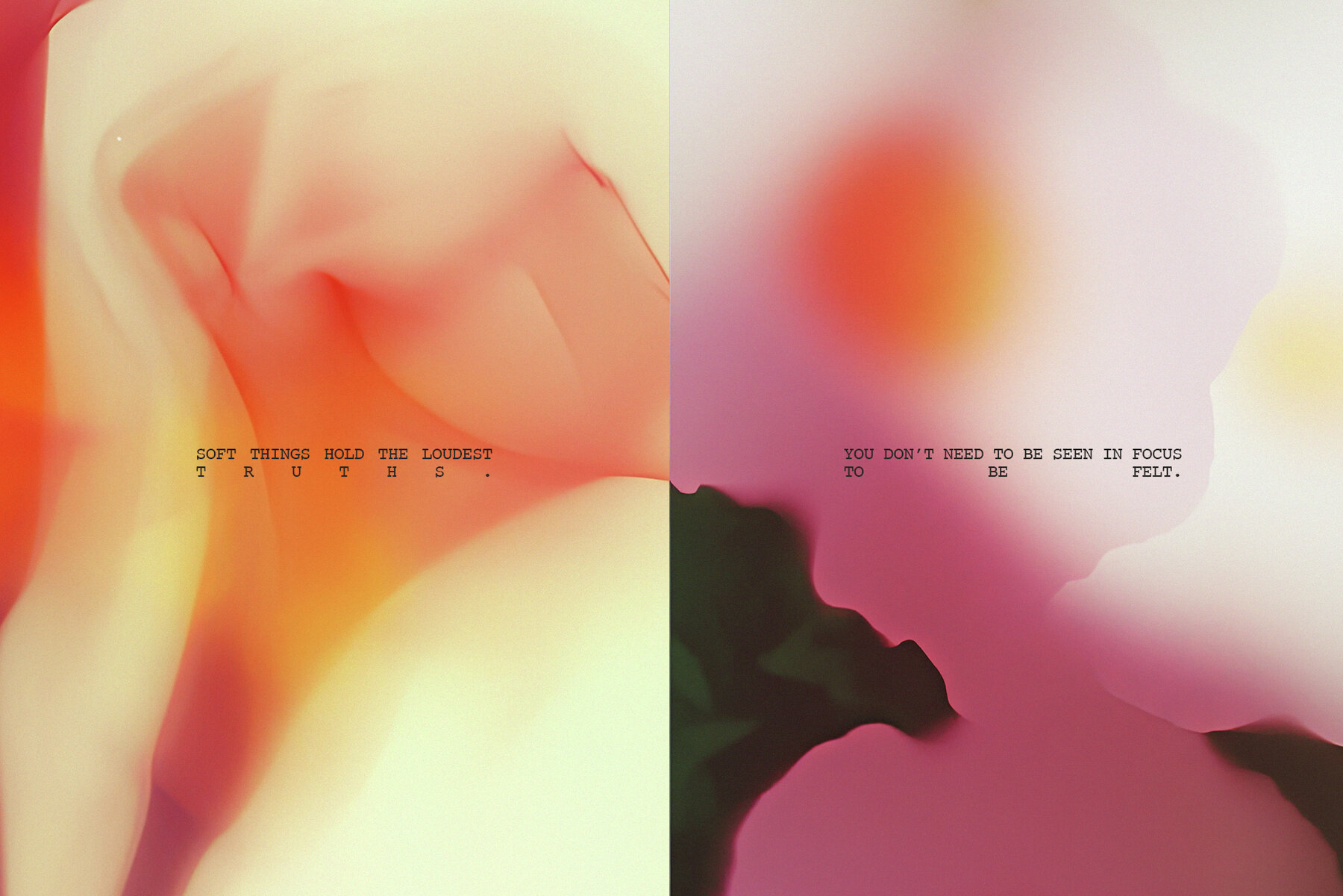 Petalrush Floral Backgrounds 9