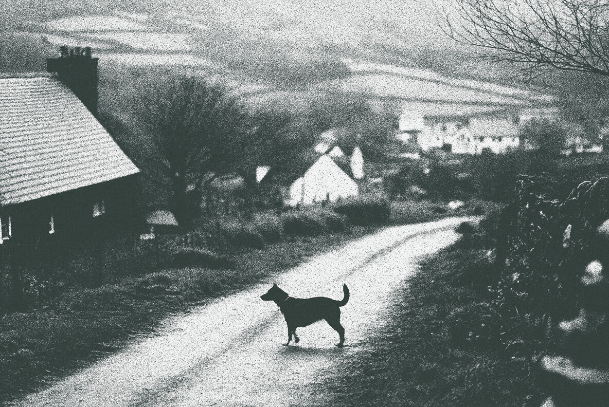 Risograph Grain Photo Effect 2