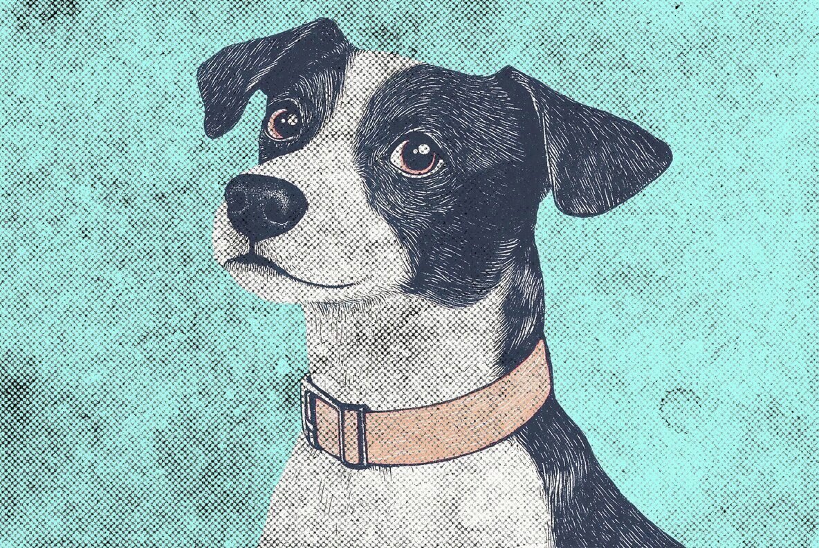 Grunge Halftone Overlay Textures 5