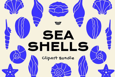 Sea Shells Clipart Bundle