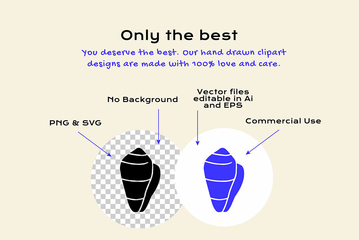 Sea Shells Clipart Bundle 2