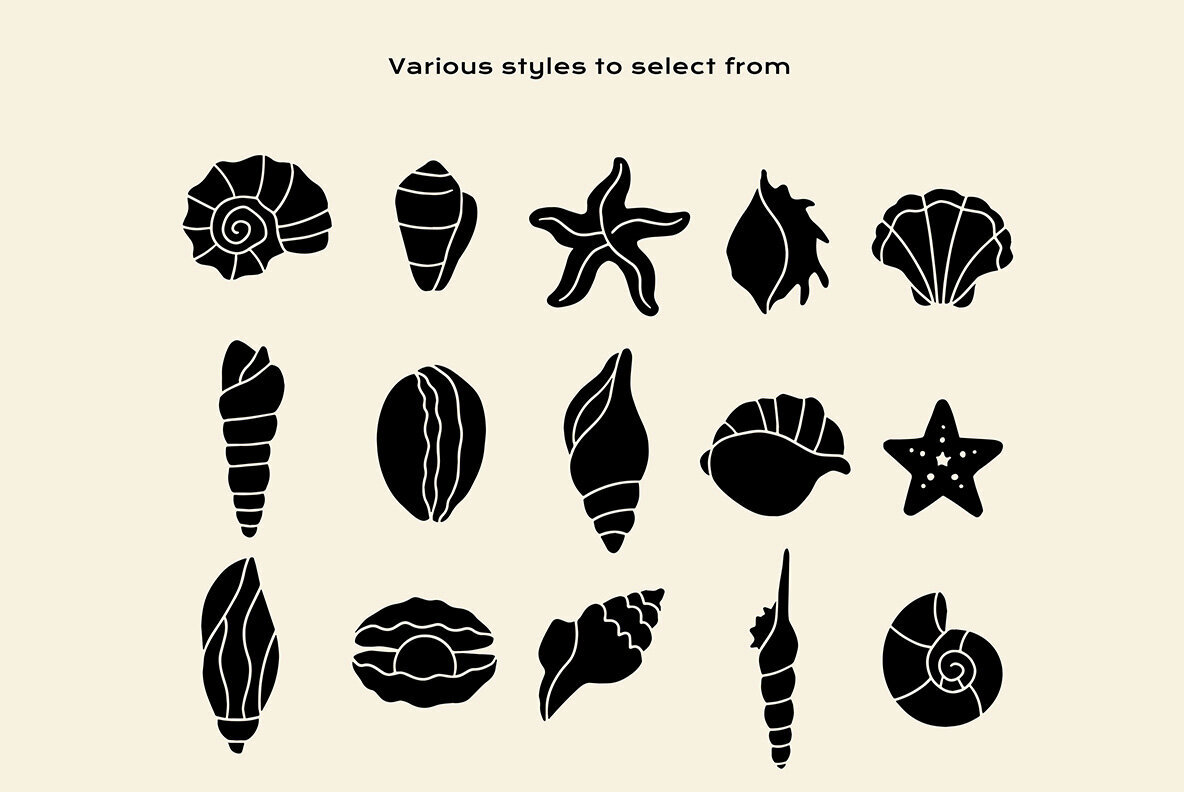 Sea Shells Clipart Bundle 3
