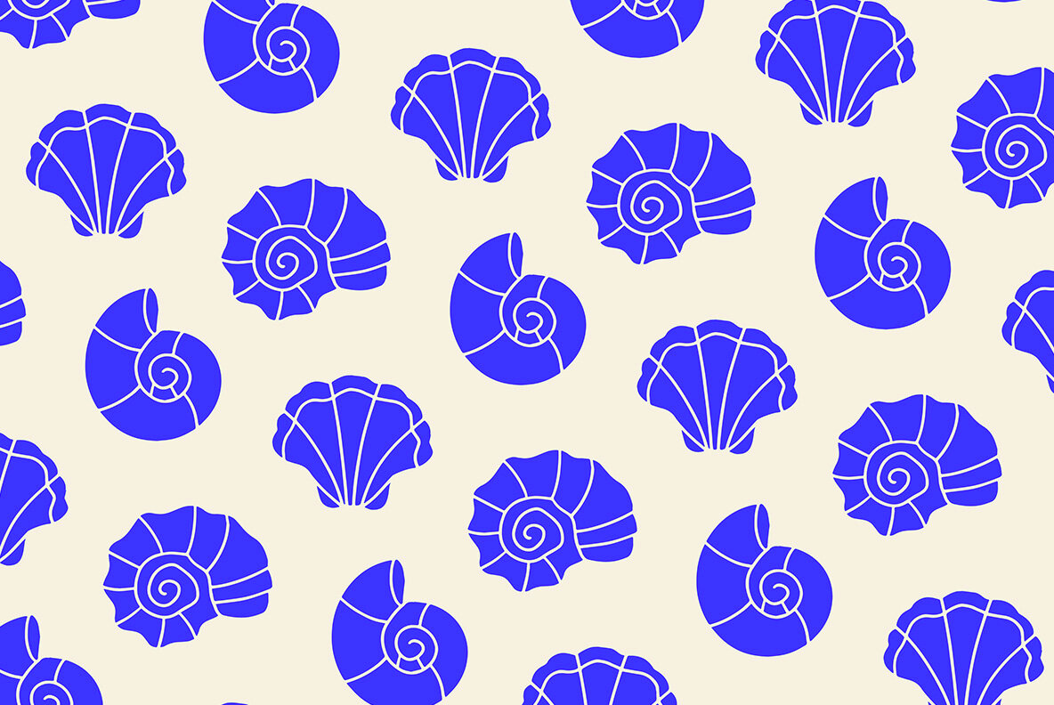 Sea Shells Clipart Bundle 7