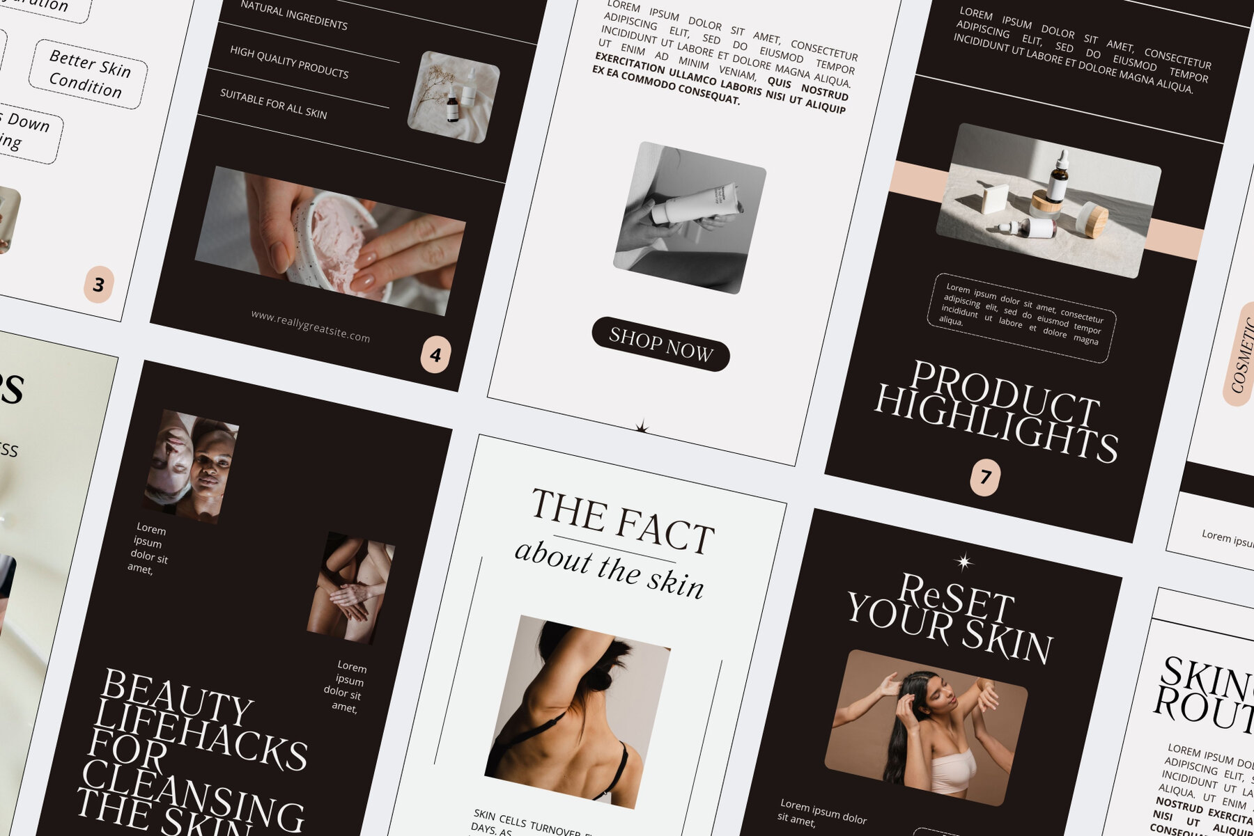 Brown Beauty Instagram Story Templates 4