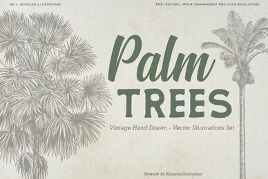 Hand Drawn Palm Tree Vectors