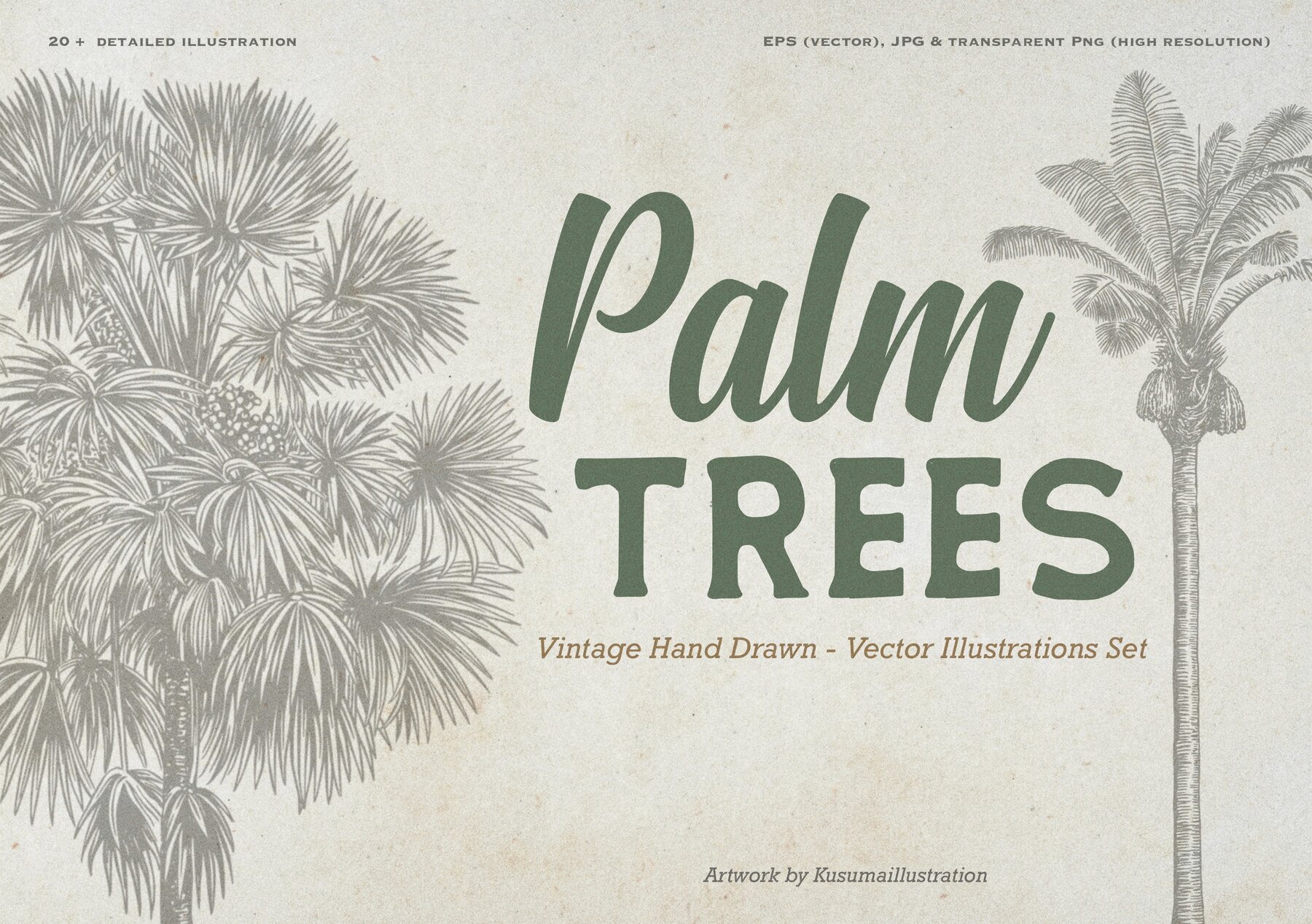 Hand Drawn Palm Tree Vectors 1
