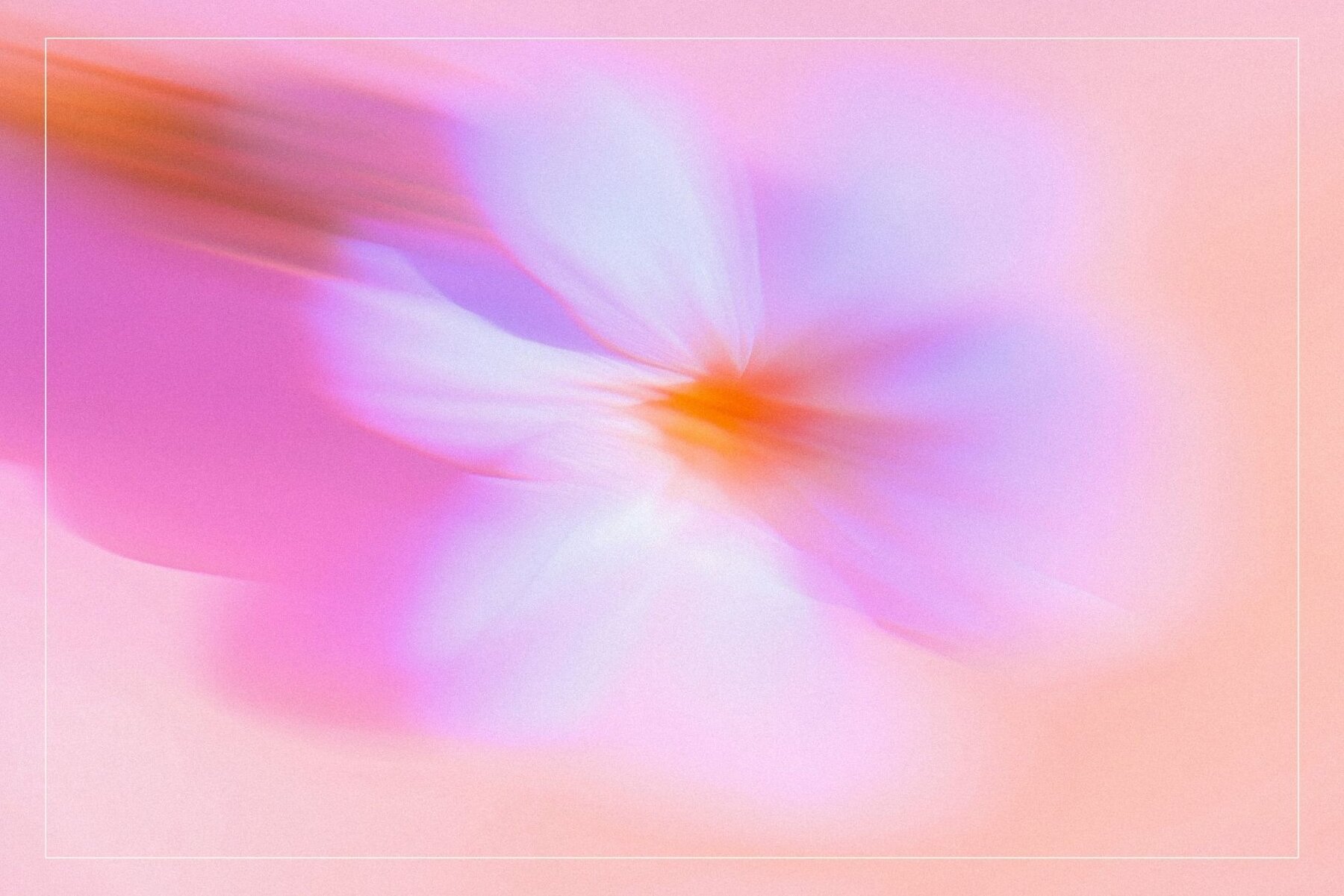 Whimsical Blurred Floral Background 6