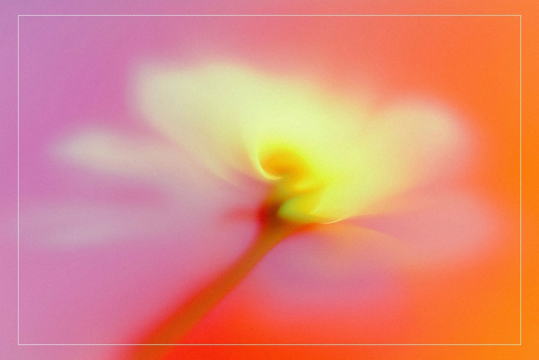 Whimsical Blurred Floral Background 8