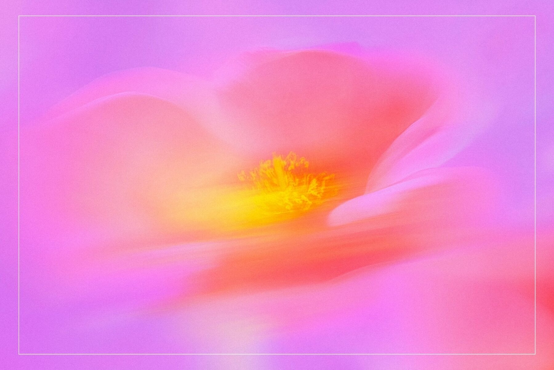 Whimsical Blurred Floral Background 10
