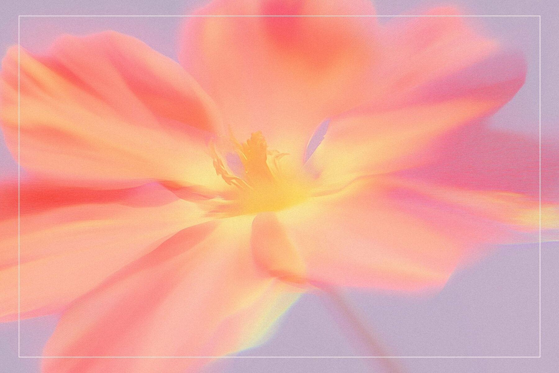 Whimsical Blurred Floral Background 13