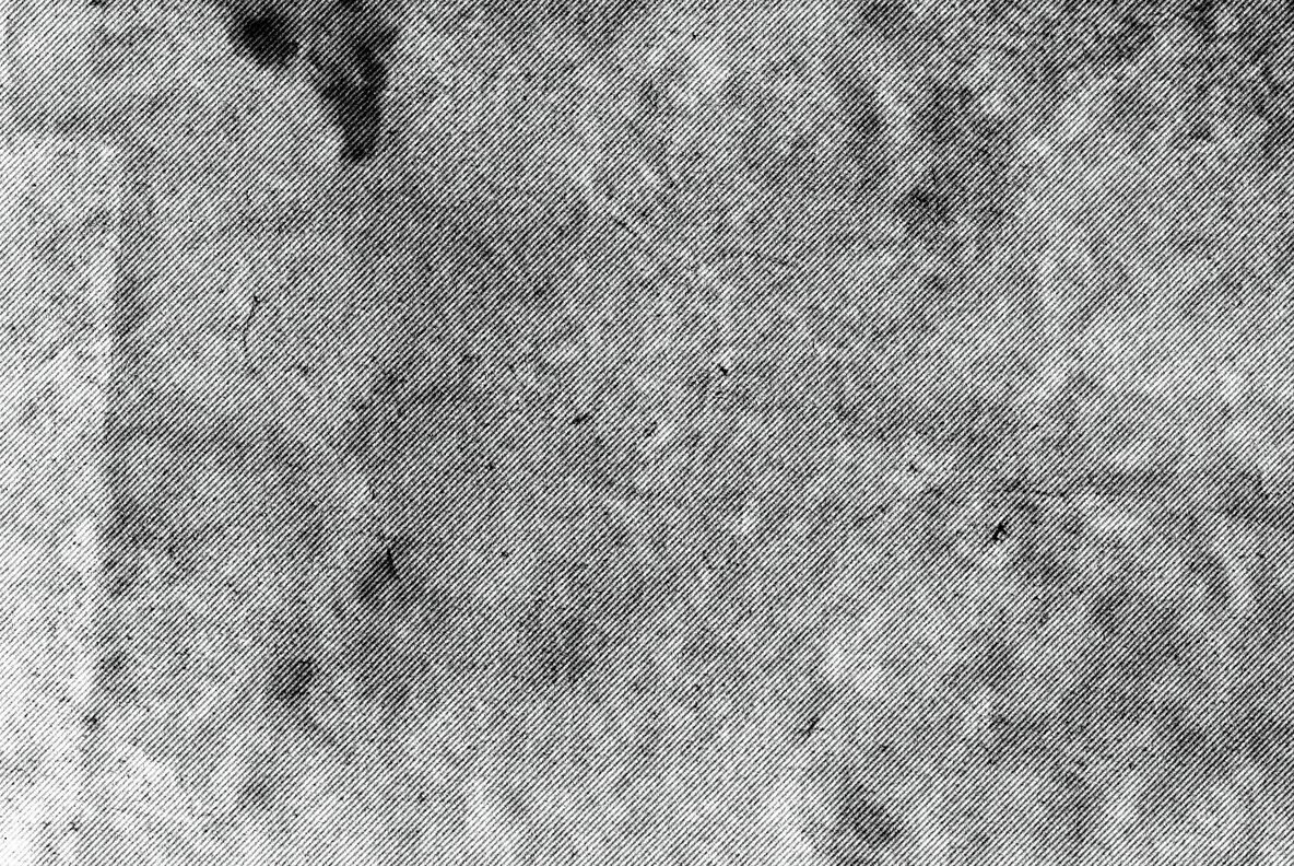 Diagonal Grunge Halftone Textures 5