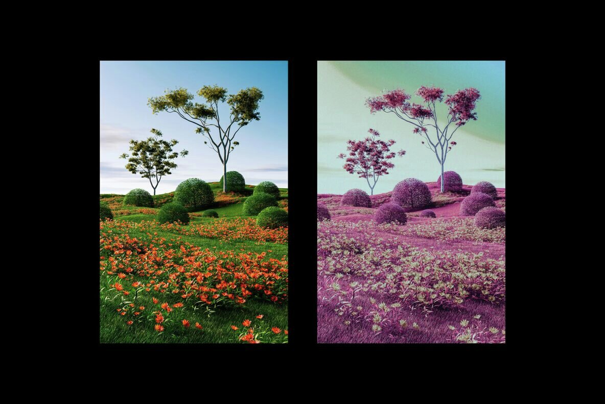 Infrared Film Effect 4