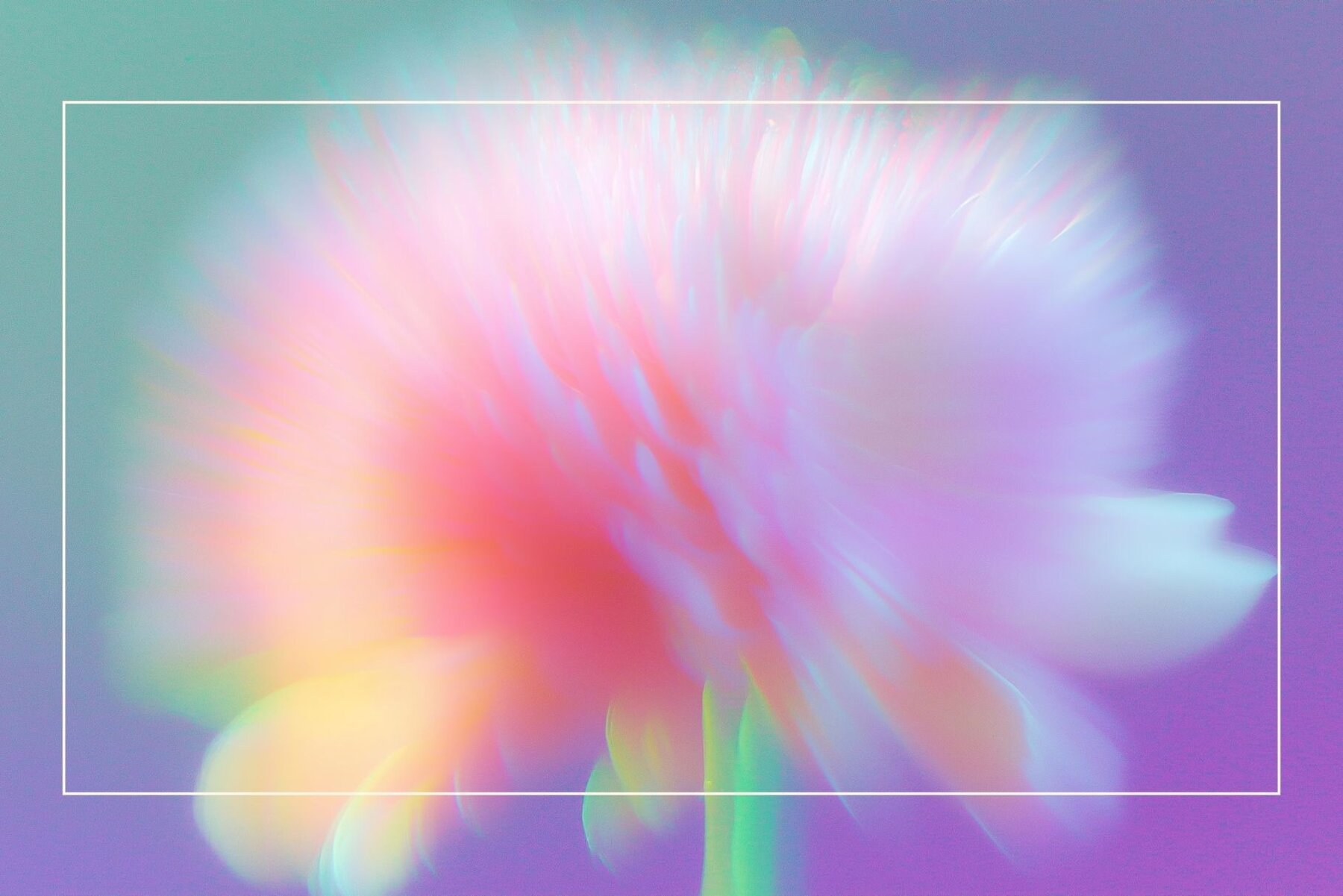 Blurred Floral Ethereal Backgrounds 5