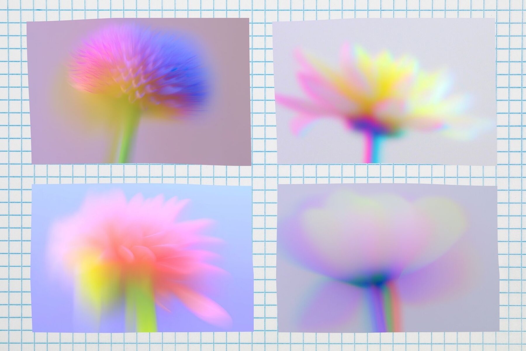 Blurred Floral Ethereal Backgrounds 6