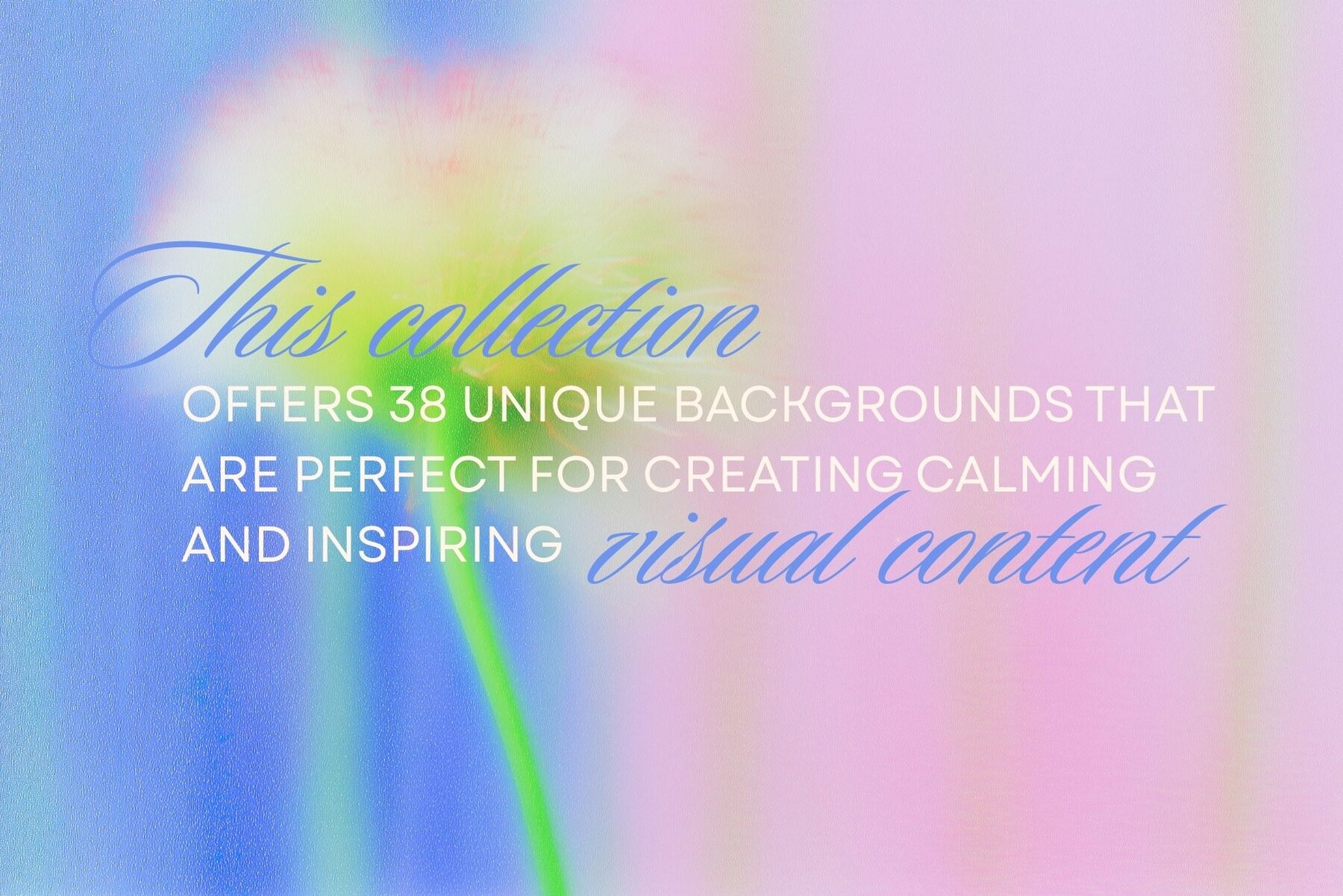 Blurred Floral Ethereal Backgrounds 7