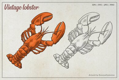 Vintage Lobster Illustration