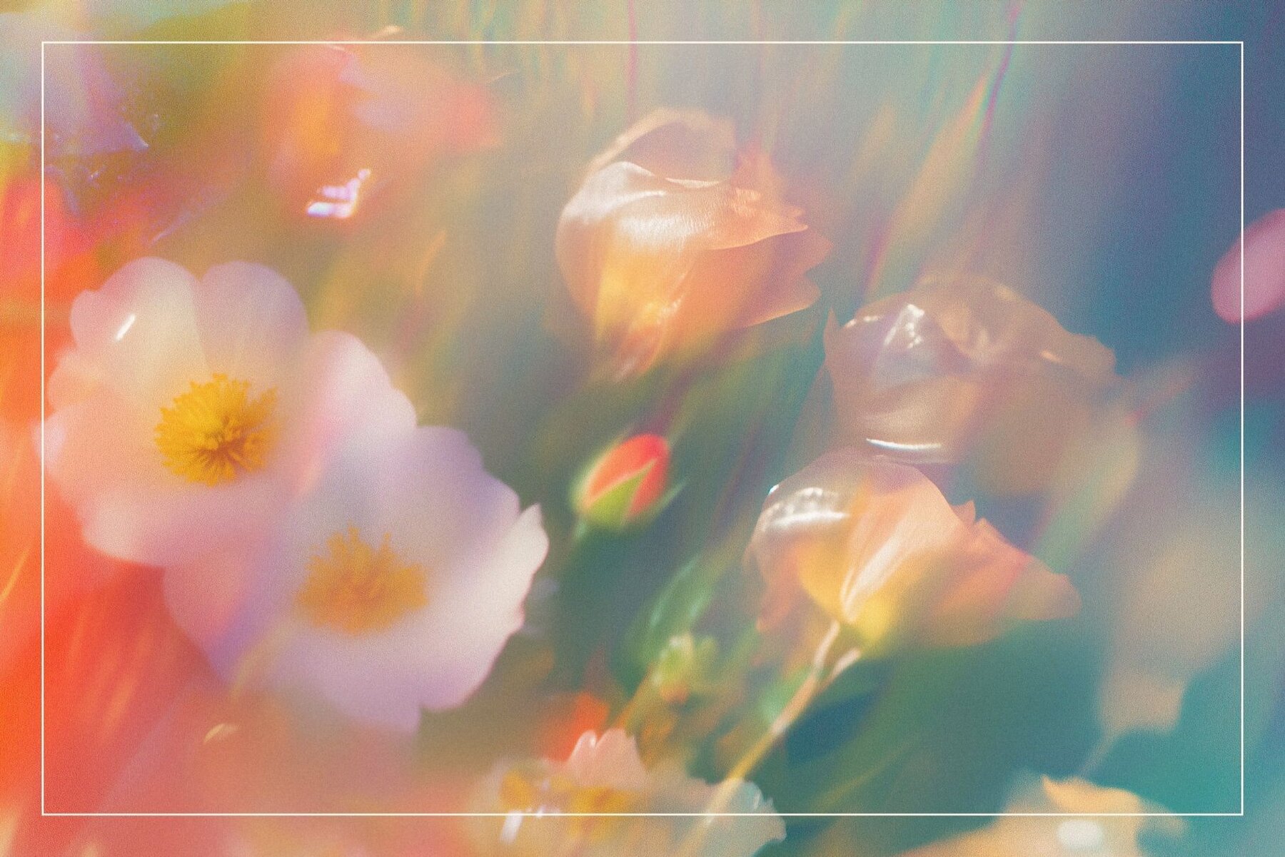 Whimsical Botanical Bliss Background 10