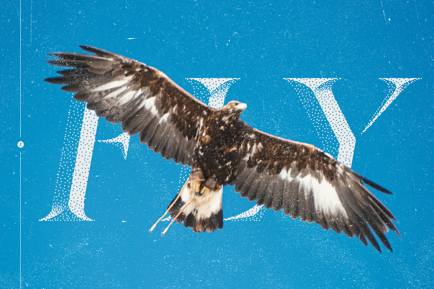 Dust and Scratches Textures 7