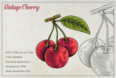 Vintage Cherry Vector Art