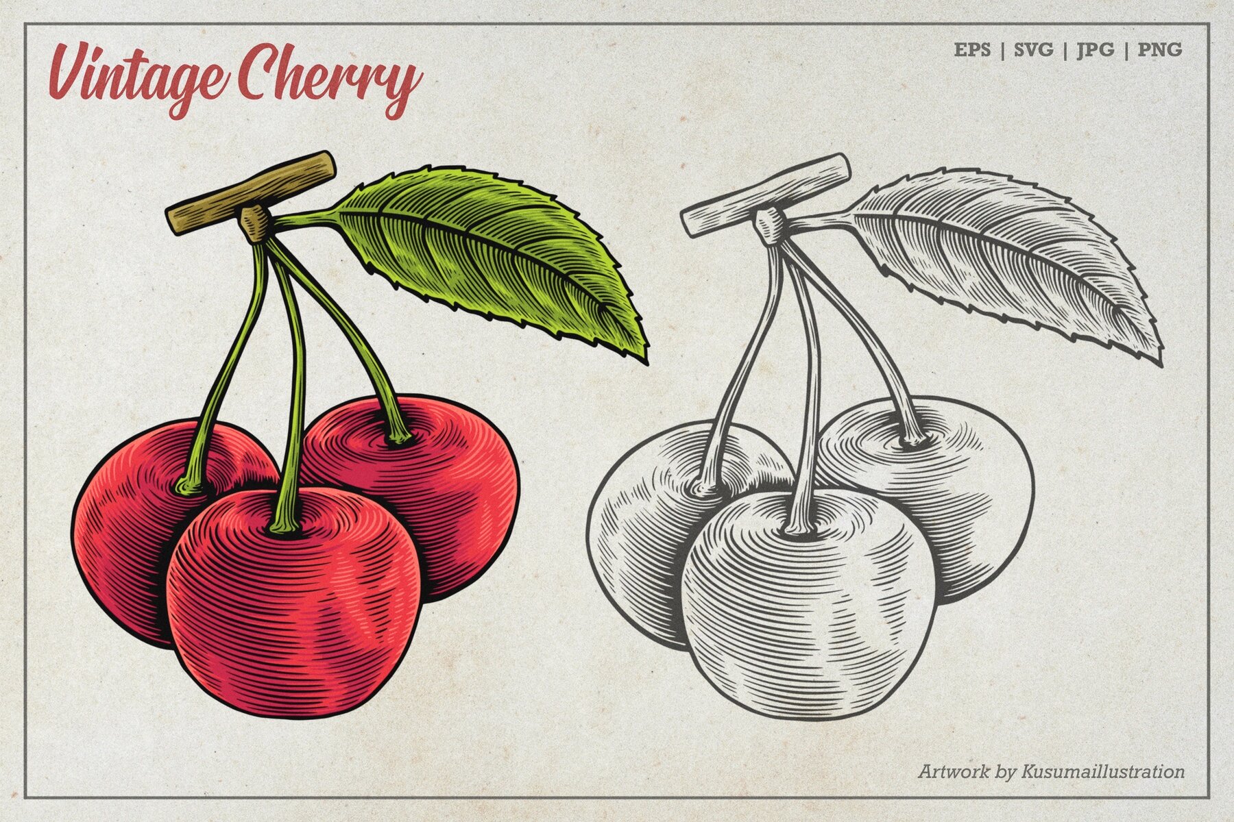 Vintage Cherry Vector Art 4