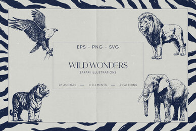 Wild Wonders Safari Illustrations