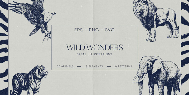 Wild Wonders Safari Illustrations