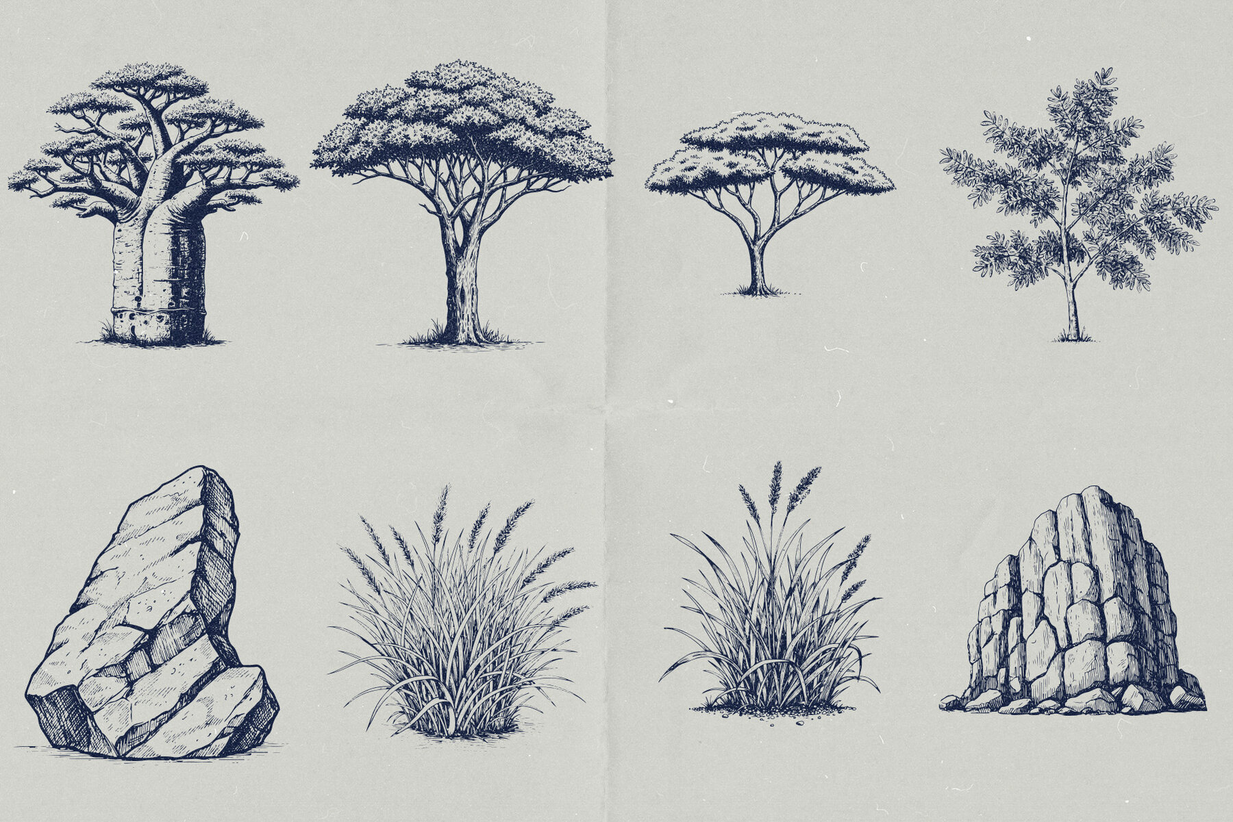 Wild Wonders Safari Illustrations 4