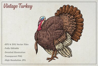 Vintage Turkey Vector Art
