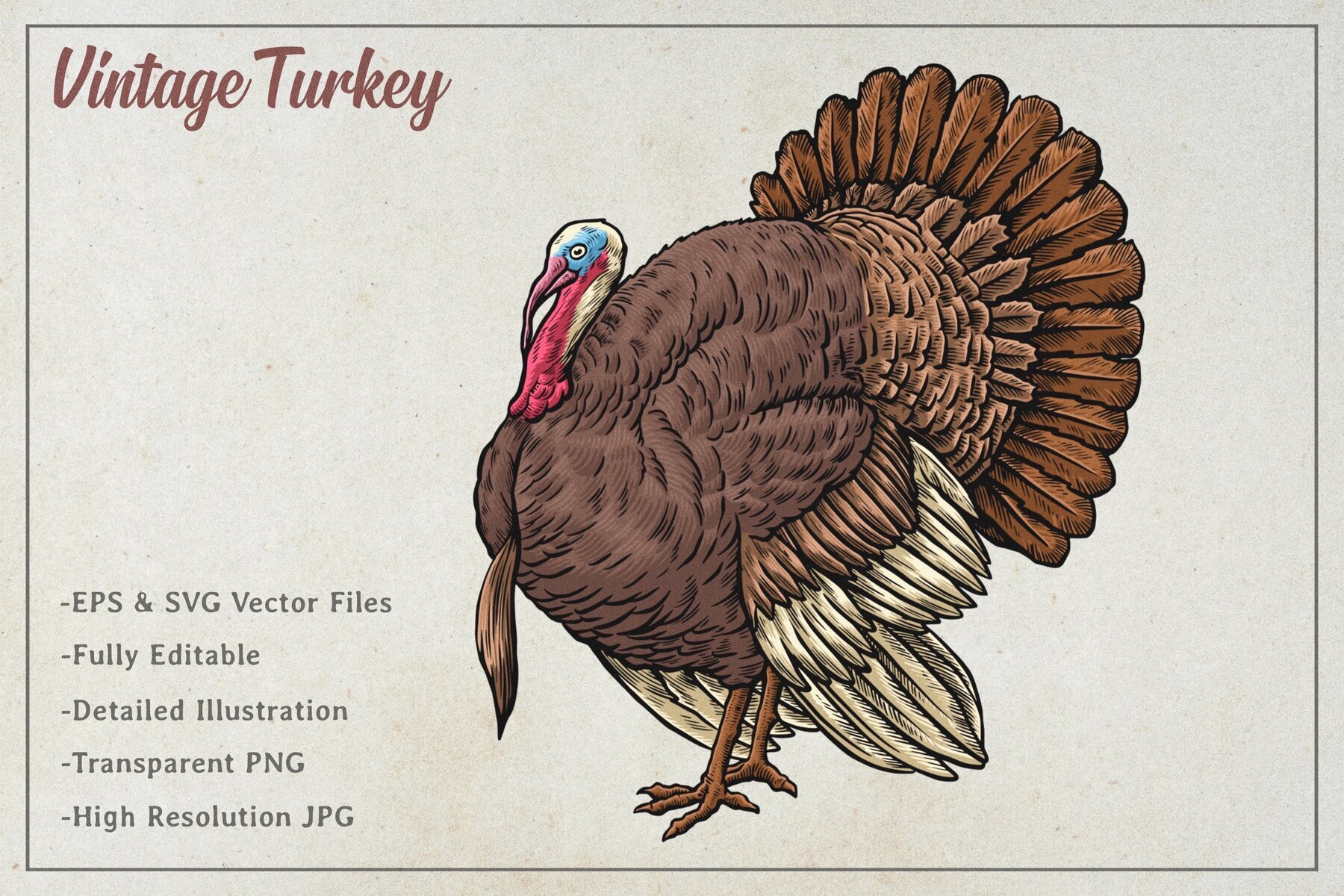 Vintage Turkey Vector Art 1