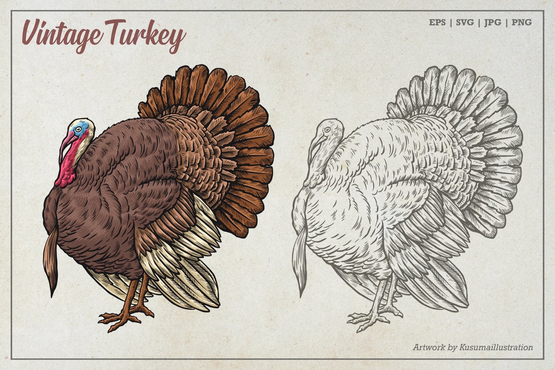Vintage Turkey Vector Art 4