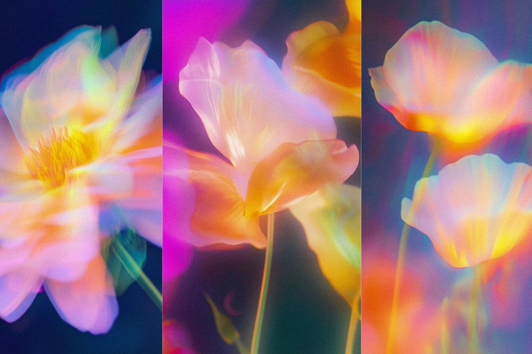 Mystic Haze Backgrounds 5