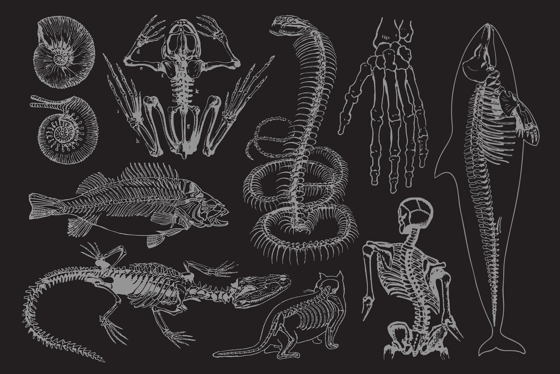 Afterlife Graphics Pack 2