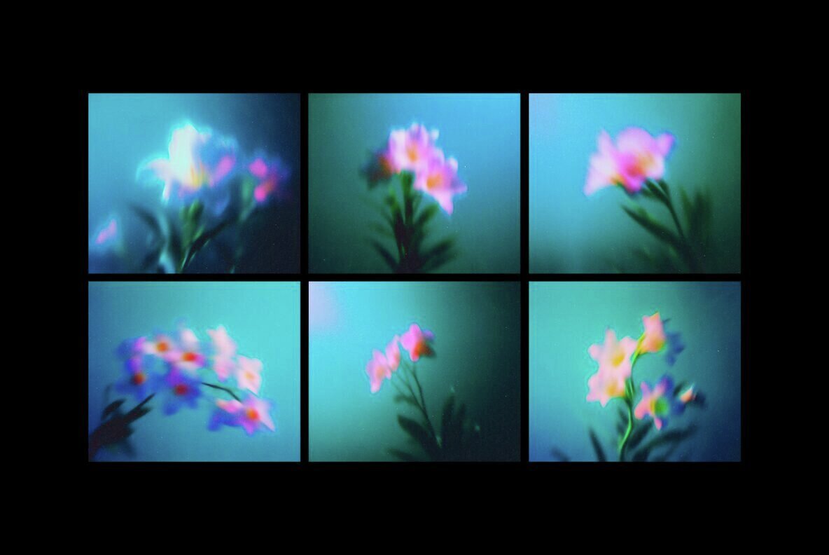 Abstract Blurred Flowers Backgrounds Pack 2
