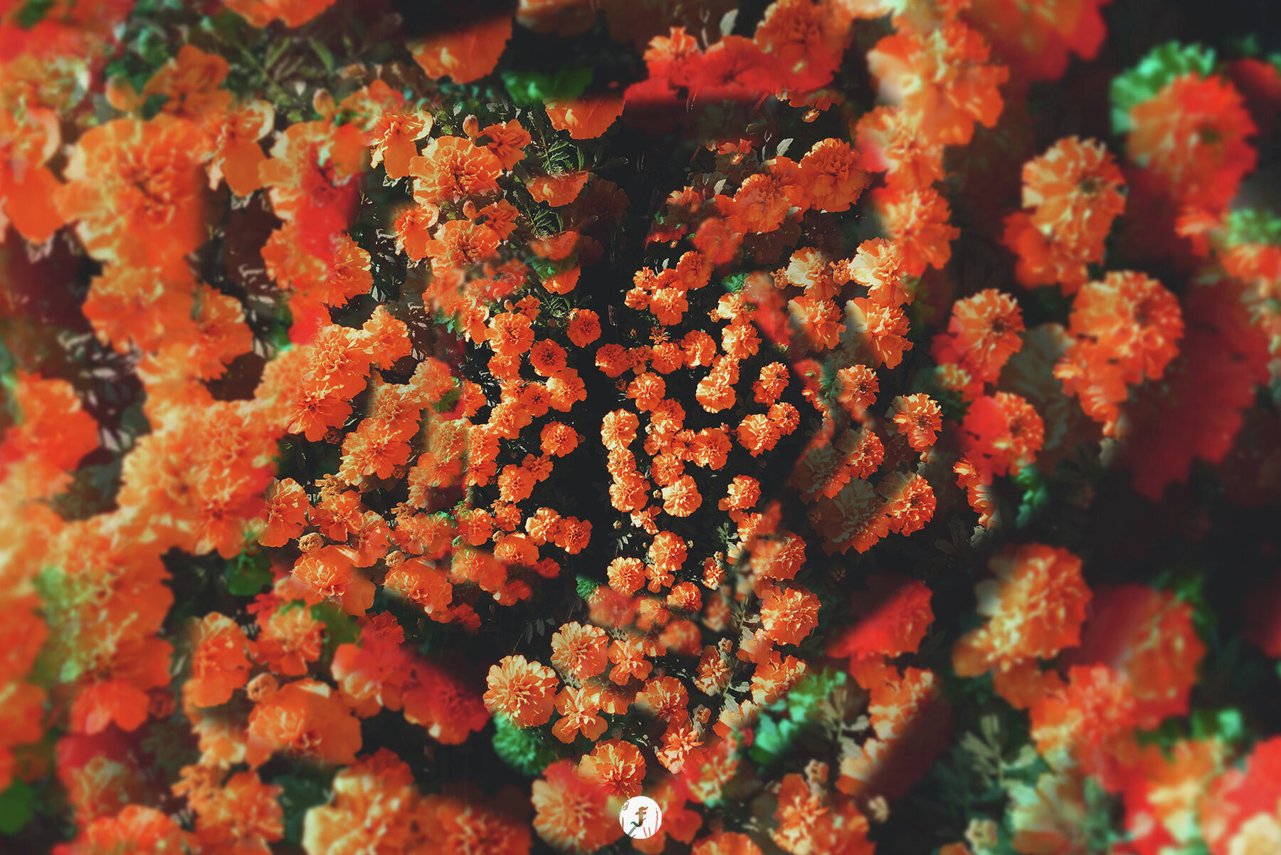 Endless Photo Effect 3