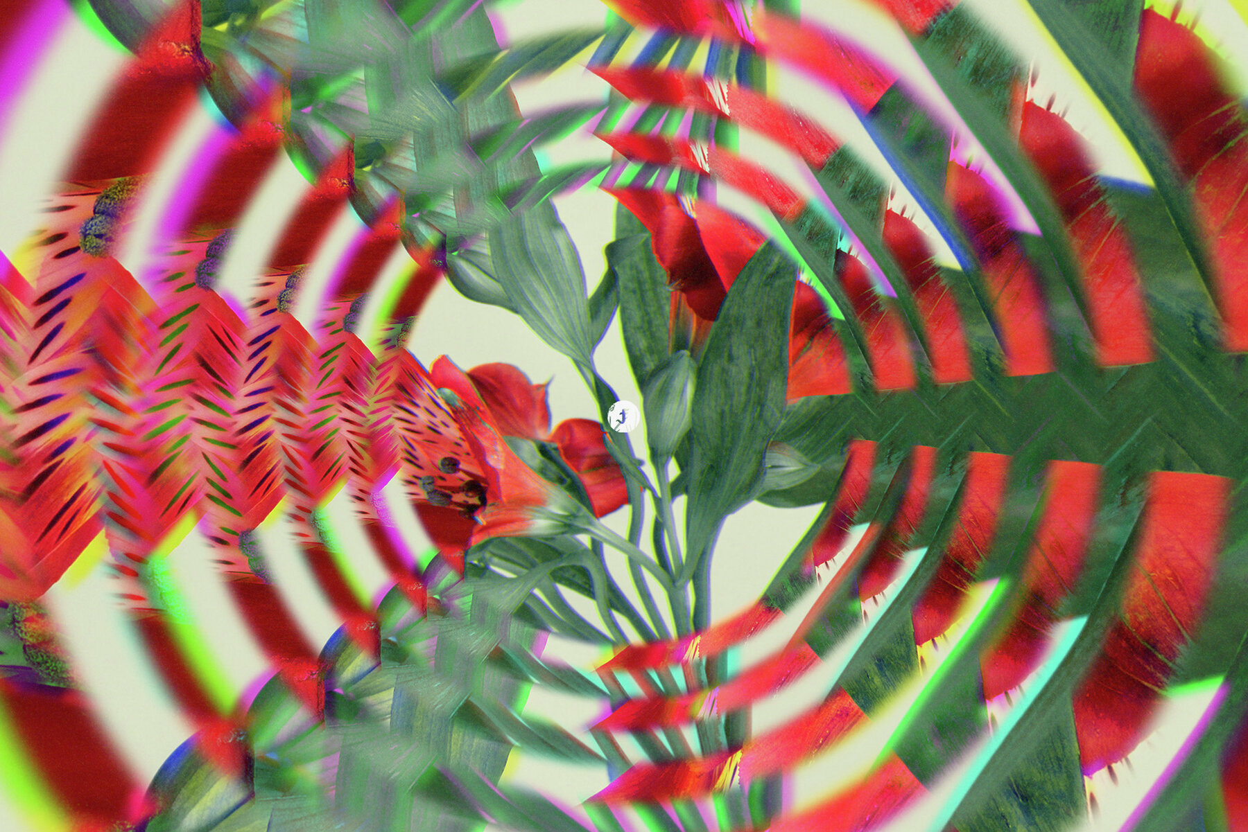 Endless Photo Effect 9